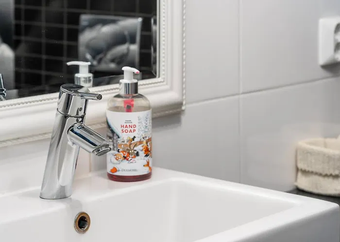 Polar Snowflake רובניימי